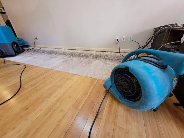 Professional Basement Flood Cleanup technician working in Melbourne, KY